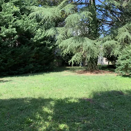 Superbe Avec Jardin Au Bord Du Lot Laroque-des-Arcs